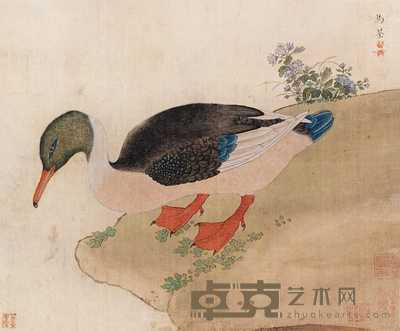 马荃(款) 鸭 立轴 38×46cm